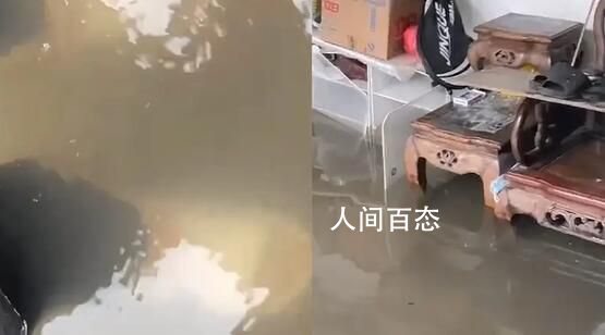 海口降暴雨:居民家中积水成“河”_图片